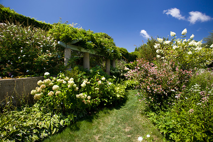 Main garden at Grey Gardens