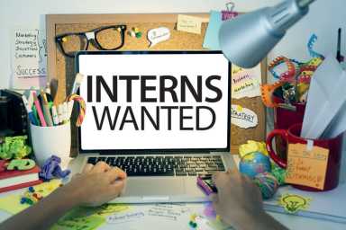 Behind The Hedges, intern, Hamptons
