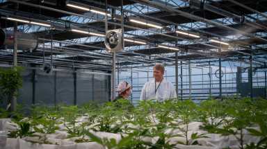 Columbia Care/Cannabis