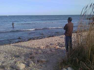 Hamptons