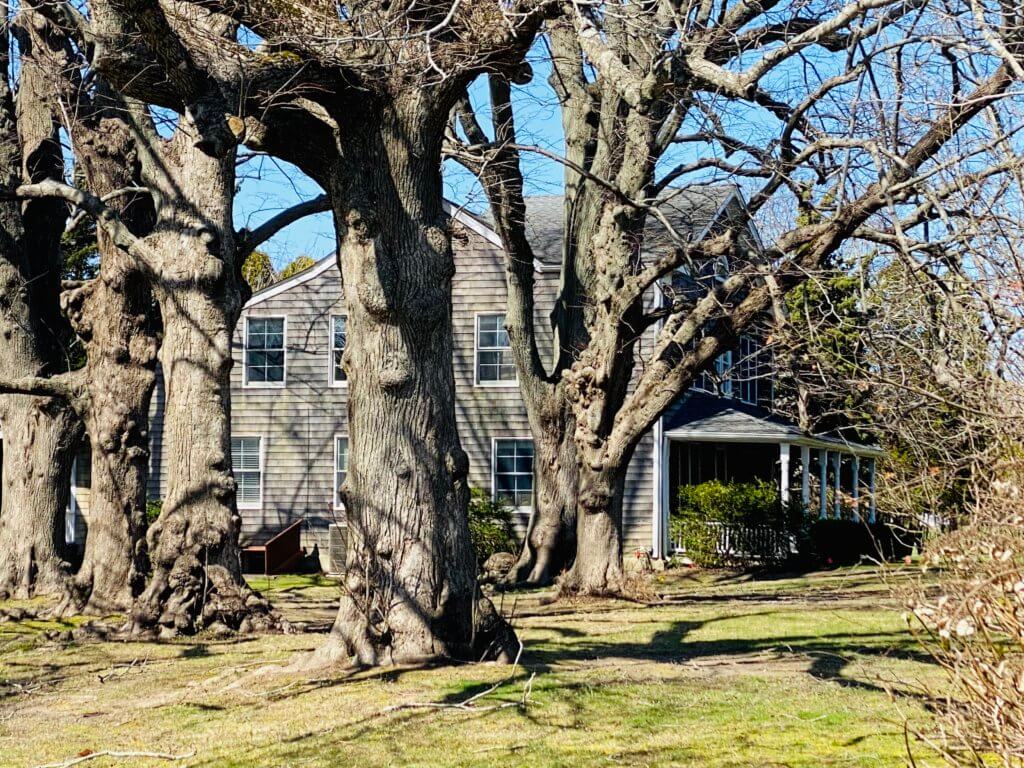 Hamptons real estate report