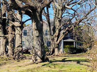 Hamptons real estate report