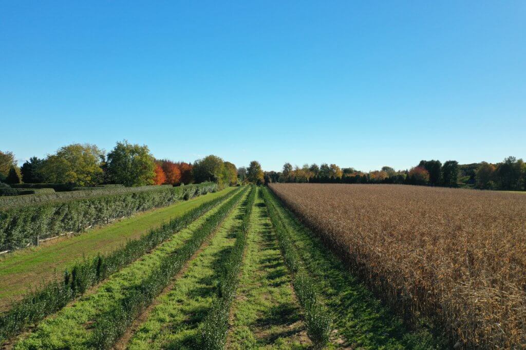 Bridgehampton