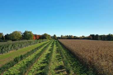Bridgehampton