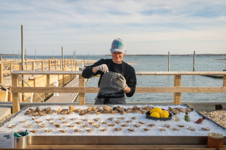 The Shoals, Southold, Little Ram Oyster