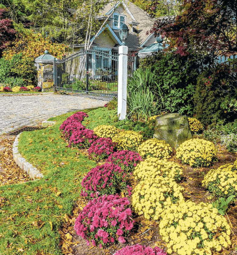 fall garden planting