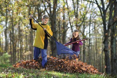 One of the easiest ways to clean up leaves is to reach for a lawn mower rather than a rake.