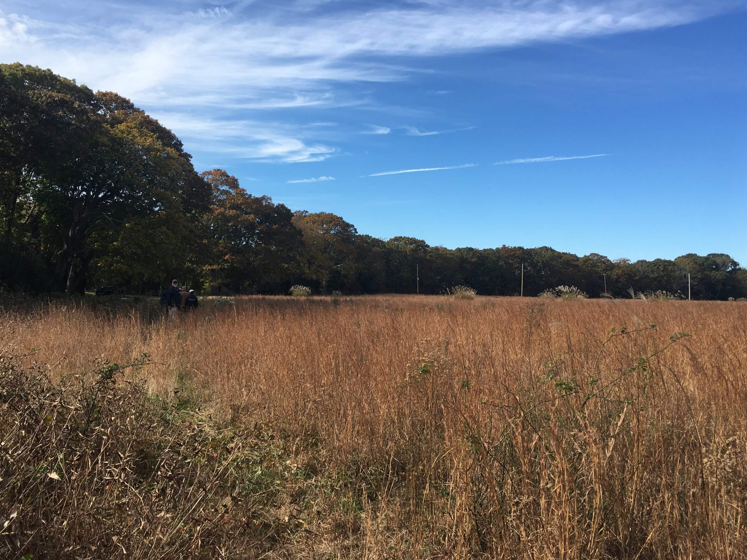 With ’22 Successes, Peconic Land Trust Readies for 40th Year