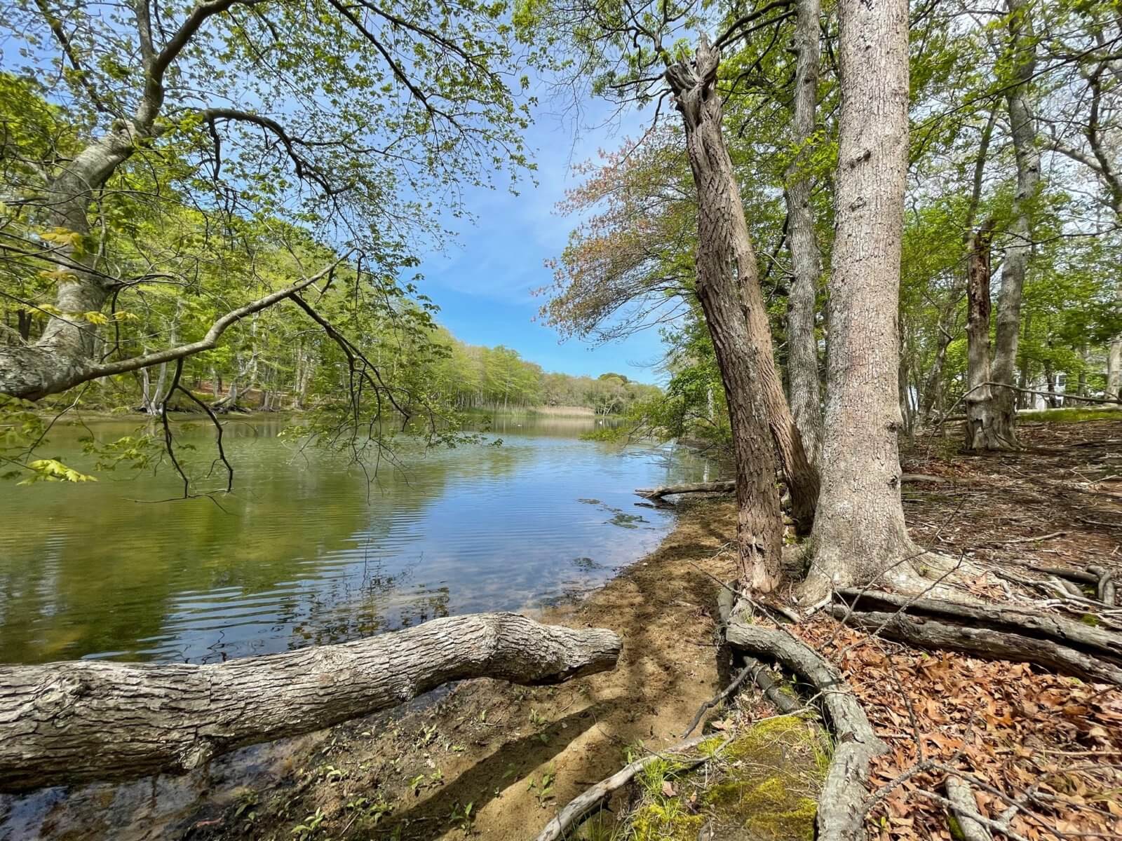 With ’22 Successes, Peconic Land Trust Readies for 40th Year