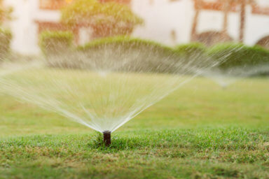Suffolk County Water Authority, grass