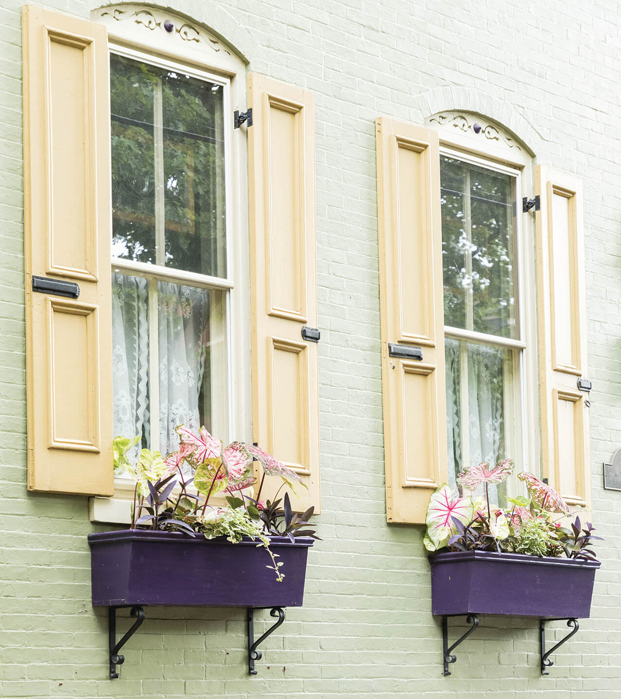 Give Your Home a New Look With These Shutter Styles