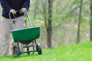 Fertilizing lawn