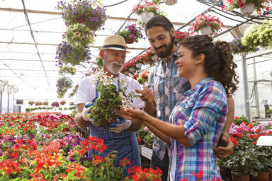 native species, gardening, native plants