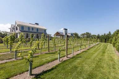 Hamptons, Water Mill, houstel, private vineyard