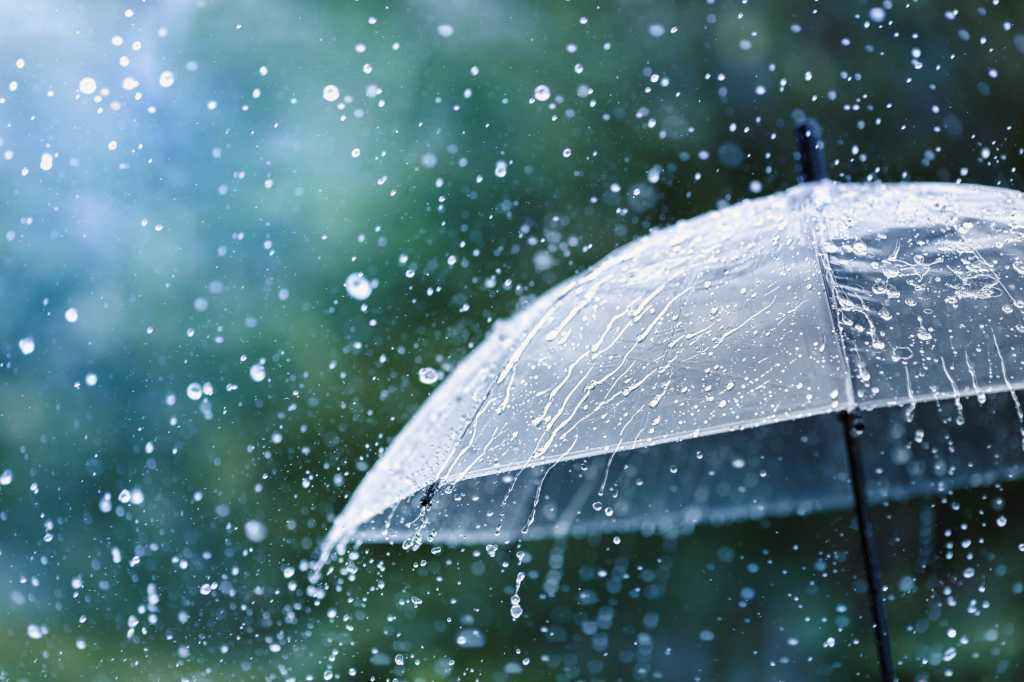 Home Pro, summer storm