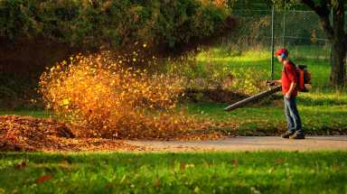 landscaping fall