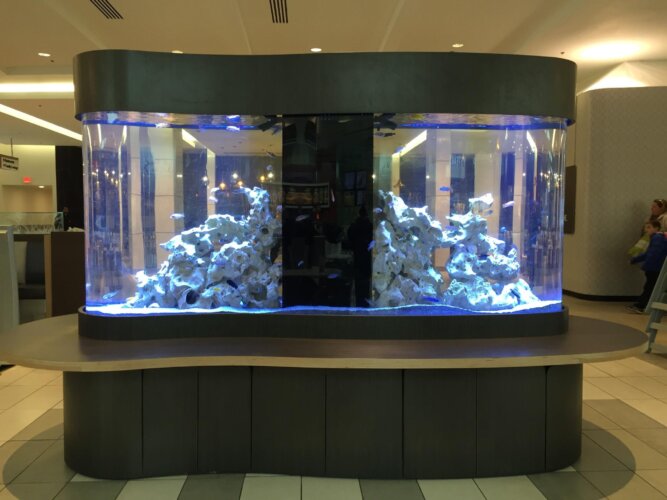 aquariums 