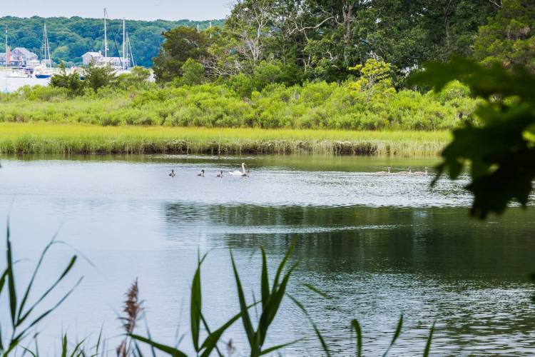 East Hampton house, 17 Scallop Avenue, Hamptons, Hands Creek Harbor