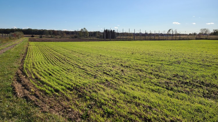 Wading River, farmers, farm, conserve