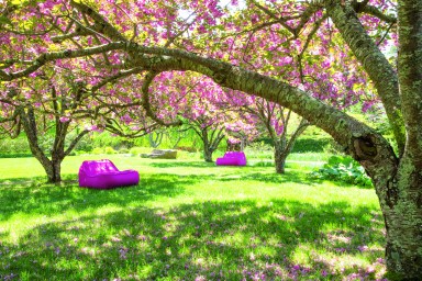 Paola Lenti, LongHouse Reserve