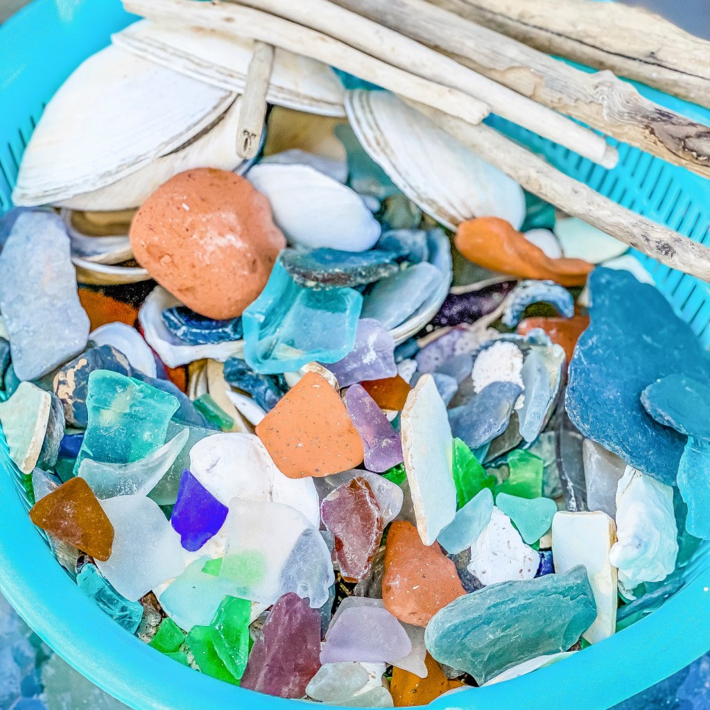 Collections from the beach