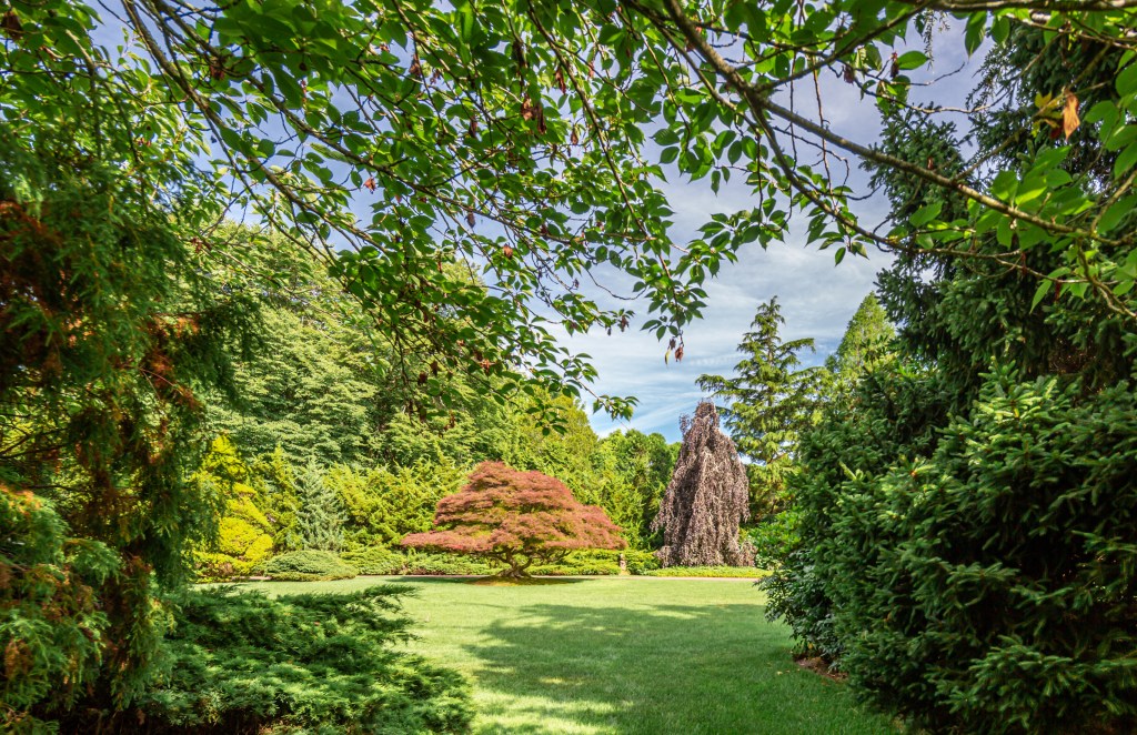 The landscaped property includes a variety of mature specimen trees such as beech, sycamore and elm, pristinely kept by Mrs. Woodhouse.