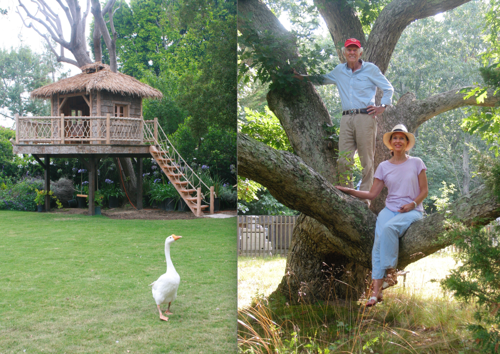 David and Jeanie Stiles, treehouses