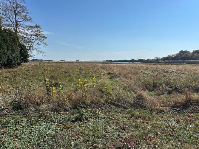 Wainscott Pond, Wainscot, CPF