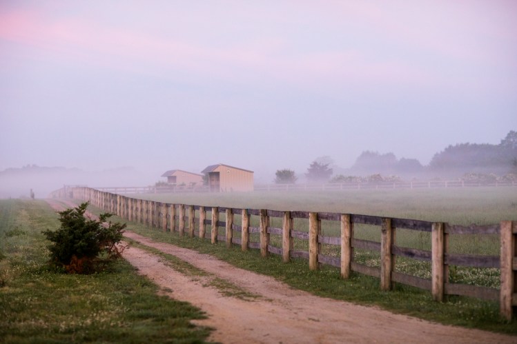 Indian Neck Farm, Peconic, North Fork, record