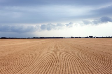 Plowed field with blue sky