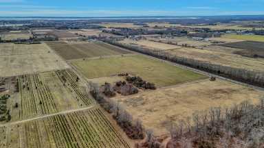 Jamesport, vineyard, wine, North Fork, farm