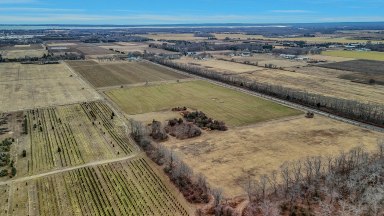 Jamesport, vineyard, wine, North Fork, farm