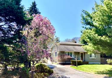 Cherry Blossom Festival, Greenport