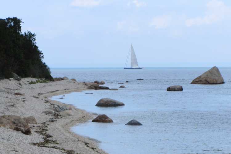 Cove Beach, North Fork, East Marion