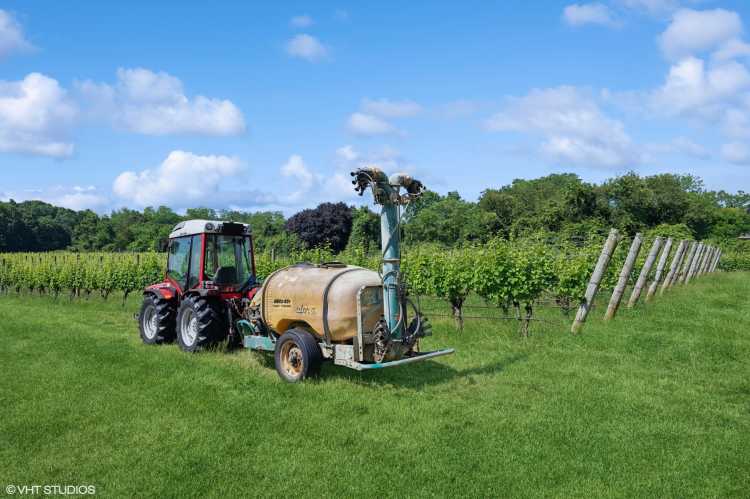 Southold, One Woman Wines, North Fork, winery, distillery